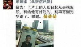 陈晓卿最新爆料,揭秘美食背后的惊人真相！