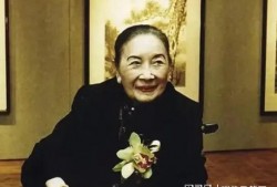 宋美龄最新爆料视频大全,最新爆料视频大全背后的故事与真相