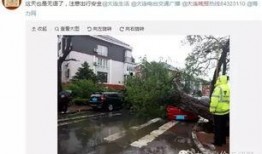 大连西岗最新爆料,揭秘城市变迁中的热点事件