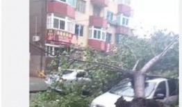大连西岗最新爆料,揭秘城市变迁中的热点事件
