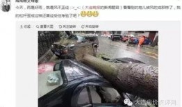 大连西岗最新爆料,揭秘城市变迁中的热点事件