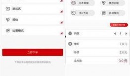 王者陪玩爆料网站大全最新,揭秘最新陪玩平台，助力玩家畅享游戏时光