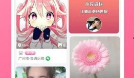 最新僚机爆料软件下载安装,最新下载安装指南揭秘