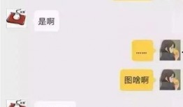 鑫禧禾最新爆料聊天记录,揭秘聊天记录背后的惊人内幕